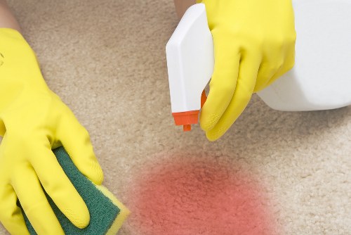 Secure carpet cleaning payment page with encrypted checkout and card options