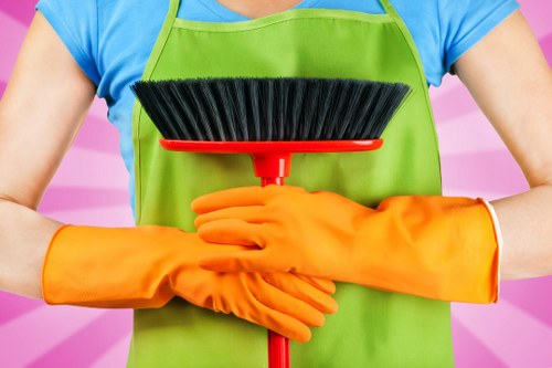 Deep carpet cleaning process used by Crayford Carpet Cleaners
