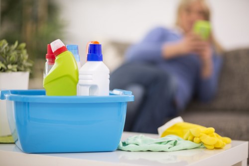 Local pet odour removal process for carpets and furnishings in Crayford