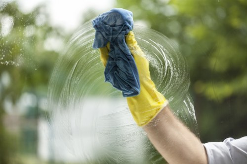 Professional carpet cleaning with careful manual handling