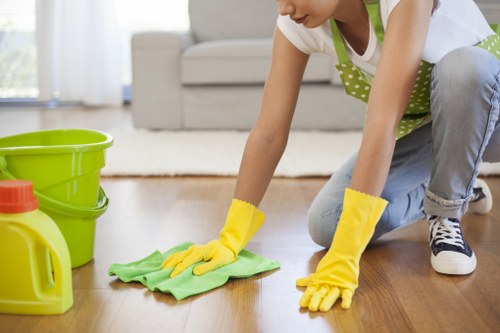 Upholstery stain treatment for sofas and chairs